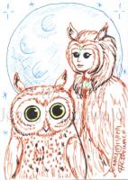 Owl Moon Witch